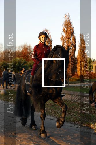 Lunteren 22 november 2021
Presentatie paarden calendar waarvan opbrengst naar het KWF gaat . Bridget Maasland en Samantha Steenwijk krijgen het eerste exemplaar . Ze kopen per paard aanrijden