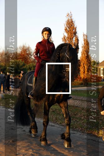 Lunteren 22 november 2021
Presentatie paarden calendar waarvan opbrengst naar het KWF gaat . Bridget Maasland en Samantha Steenwijk krijgen het eerste exemplaar . Ze kopen per paard aanrijden