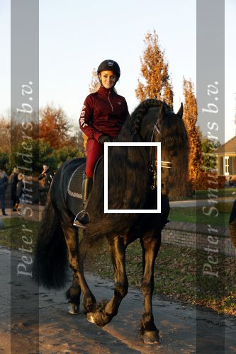 Lunteren 22 november 2021
Presentatie paarden calendar waarvan opbrengst naar het KWF gaat . Bridget Maasland en Samantha Steenwijk krijgen het eerste exemplaar . Ze kopen per paard aanrijden