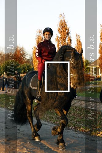 Lunteren 22 november 2021
Presentatie paarden calendar waarvan opbrengst naar het KWF gaat . Bridget Maasland en Samantha Steenwijk krijgen het eerste exemplaar . Ze kopen per paard aanrijden