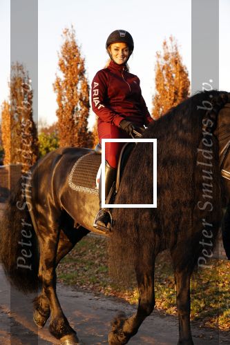 Lunteren 22 november 2021
Presentatie paarden calendar waarvan opbrengst naar het KWF gaat . Bridget Maasland en Samantha Steenwijk krijgen het eerste exemplaar . Ze kopen per paard aanrijden