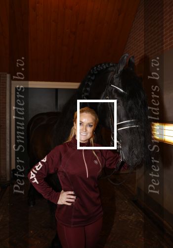 Lunteren 22 november 2021
Presentatie paarden calendar waarvan opbrengst naar het KWF gaat . Bridget Maasland en Samantha Steenwijk krijgen het eerste exemplaar . Ze kopen per paard aanrijden