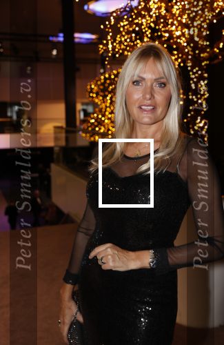 Amstrerdam 20 november 2021
VIP opening Masters Expo in de Rai . De fair heette voorheen Luxury fair. Erik Kwant met zijn vrouw Sophia de Boer