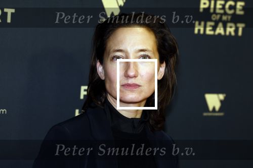 Amsterdam 28 november 2022
Premiere piece of my heart in het deLamar theater.
Abke Haring