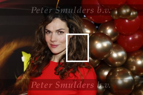 Amsterdam 10 december 2022
Premiere de gelaarsde kat in Pathe Arena .
Anna Drijver