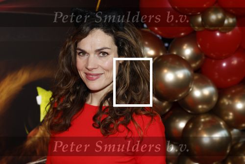 Amsterdam 10 december 2022
Premiere de gelaarsde kat in Pathe Arena .
Anna Drijver