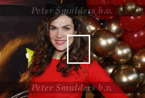 Amsterdam 10 december 2022
Premiere de gelaarsde kat in Pathe Arena .
Anna Drijver