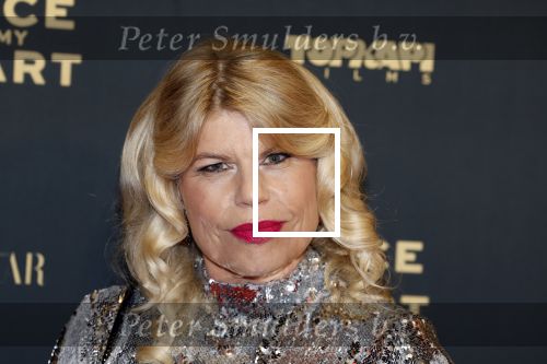 Amsterdam 28 november 2022
Premiere piece of my heart in het deLamar theater.
Anne-Marie Jung