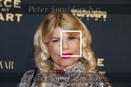Amsterdam 28 november 2022
Premiere piece of my heart in het deLamar theater.
Anne-Marie Jung