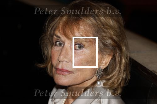 Amsterdam 17 november 2022
In theater Betty Asfalt viert Annemarie Oster haar 80e verjaardag .