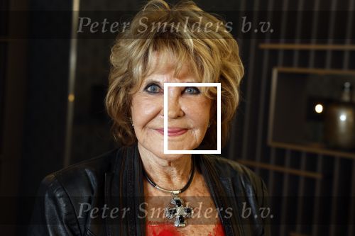 Den Haag 12 december 2022
Society Lunch in het crown Plaza hotel.
Astrid Engels met partner