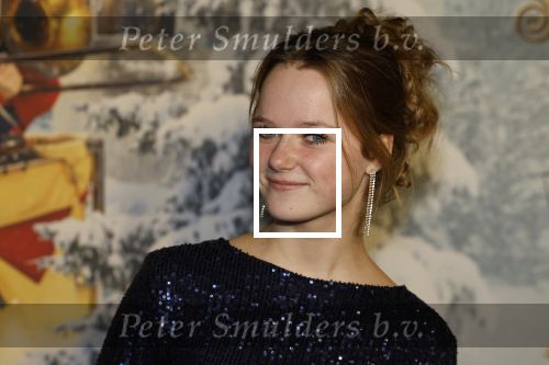 Amsterdam 11 december 2022
Premiere Hotel Sinestra in Pathe Noord .
Bobbie Mulder