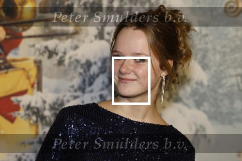 Amsterdam 11 december 2022
Premiere Hotel Sinestra in Pathe Noord .
Bobbie Mulder