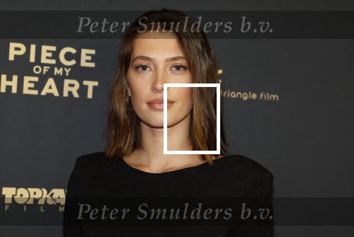 Amsterdam 28 november 2022
Premiere piece of my heart in het deLamar theater.