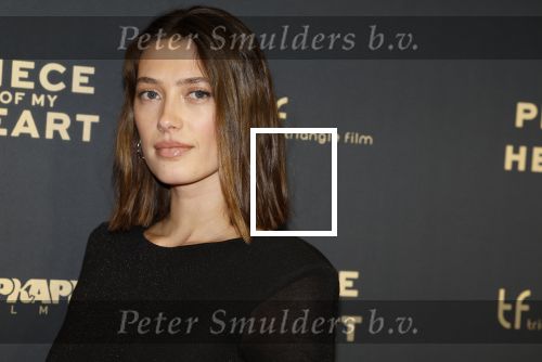 Amsterdam 28 november 2022
Premiere piece of my heart in het deLamar theater.