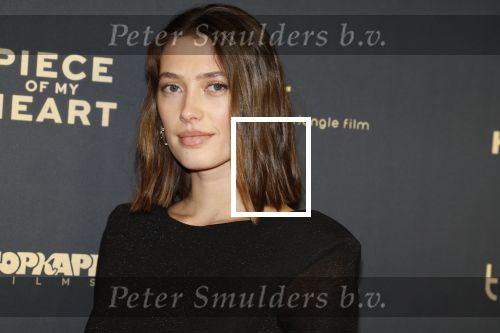 Amsterdam 28 november 2022
Premiere piece of my heart in het deLamar theater.