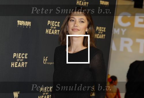 Amsterdam 28 november 2022
Premiere piece of my heart in het deLamar theater.
