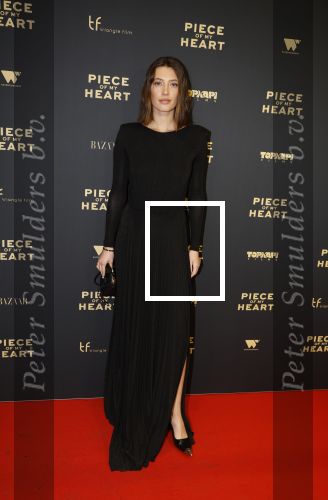 Amsterdam 28 november 2022
Premiere piece of my heart in het deLamar theater.
