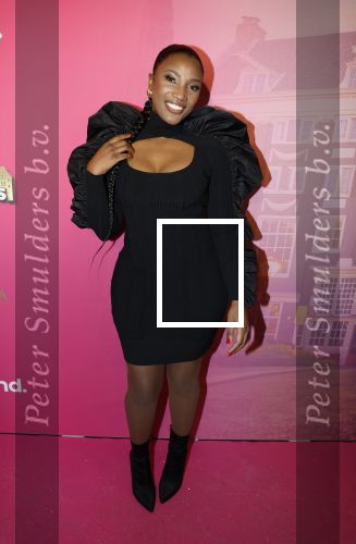 Amsterdam 22 november 2022
Presentatie Real Housewifes of Amsterdam in Hotel Krasnapolsky  van Videoland. Cherry-Ann Person