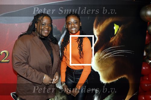 Amsterdam 10 december 2022
Premiere de gelaarsde kat in Pathe Arena . Daysha Ligeon
