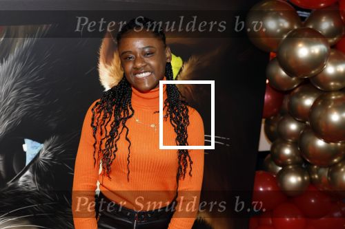 Amsterdam 10 december 2022
Premiere de gelaarsde kat in Pathe Arena . Daysha Ligeon