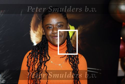Amsterdam 10 december 2022
Premiere de gelaarsde kat in Pathe Arena . Daysha Ligeon