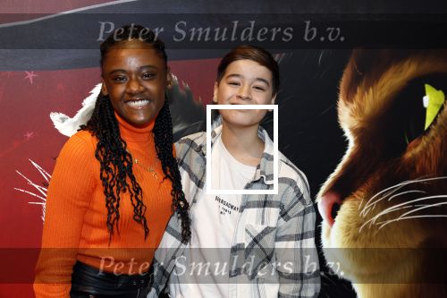 Amsterdam 10 december 2022
Premiere de gelaarsde kat in Pathe Arena .
Daysha Ligeon en Mathijs Stoop