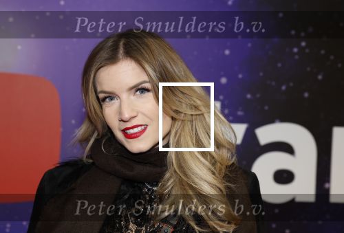 Amsterdam 13 december 2022
YouTube event in Tuschinski. Dionne Slagter