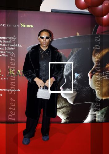 Amsterdam 10 december 2022
Premiere de gelaarsde kat in Pathe Arena . Elfried Castanera