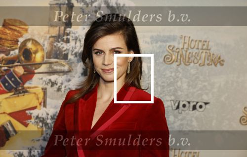 Amsterdam 11 december 2022
Premiere Hotel Sinestra in Pathe Noord .
Elise Schaap