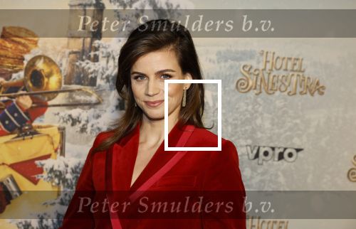 Amsterdam 11 december 2022
Premiere Hotel Sinestra in Pathe Noord .
Elise Schaap