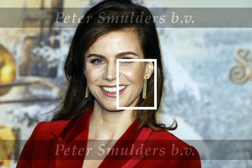 Amsterdam 11 december 2022
Premiere Hotel Sinestra in Pathe Noord .
Elise Schaap