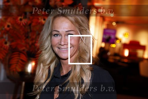 Amsterdam 9 december 2022
Masters of luxury in de RAI. Esther Smeding met vriendinnen