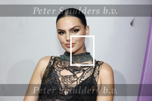 Hilversum 19 december 2022
The roast van Famke Louise in studio 21