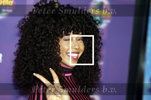 Amsterdam 17 december 2022
Premiere het feest van tante Ria in Pathe Noord .
Cast bestaat oa uit Najib Amhali Tooske Ragas Edo Brunner Edsilia Rombley Jack v gelder Pim Muda Thimo v Haaren  Ridder v Kooten Esther Mbire en Piet Tomassen. Fenna Ramos