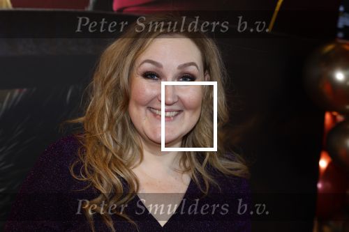 Amsterdam 10 december 2022
Premiere de gelaarsde kat in Pathe Arena .
Hannelore Zwitserlood kwam met haar dochters