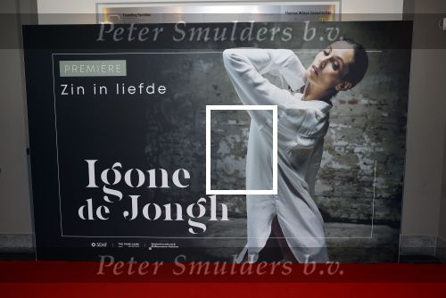Haarlem 4 december 2022
Premiere Igone de Jongh in de schouwburg van Haarlem .