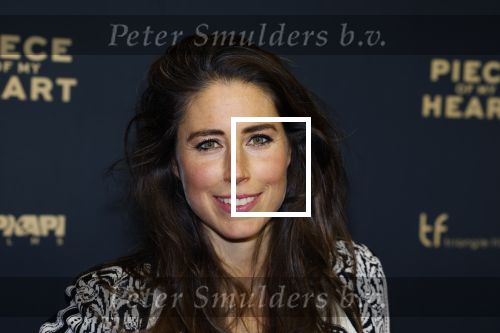 Amsterdam 28 november 2022
Premiere piece of my heart in het deLamar theater.
Iris Hond