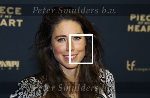 Amsterdam 28 november 2022
Premiere piece of my heart in het deLamar theater.
Iris Hond