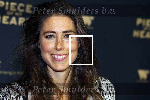 Amsterdam 28 november 2022
Premiere piece of my heart in het deLamar theater.
Iris Hond