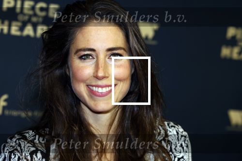 Amsterdam 28 november 2022
Premiere piece of my heart in het deLamar theater.
Iris Hond