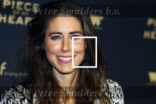 Amsterdam 28 november 2022
Premiere piece of my heart in het deLamar theater.
Iris Hond