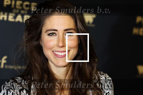 Amsterdam 28 november 2022
Premiere piece of my heart in het deLamar theater.
Iris Hond