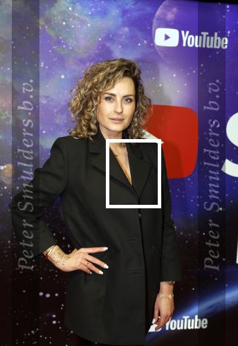 Amsterdam 13 december 2022
YouTube event in Tuschinski. Iris Rulkens