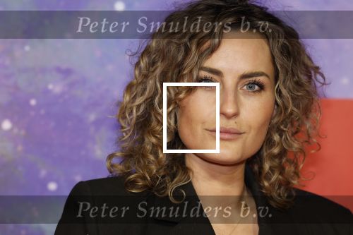 Amsterdam 13 december 2022
YouTube event in Tuschinski. Iris Rulkens