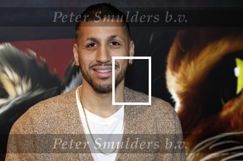 Amsterdam 10 december 2022
Premiere de gelaarsde kat in Pathe Arena . Jody Bernal met zijn vrouw