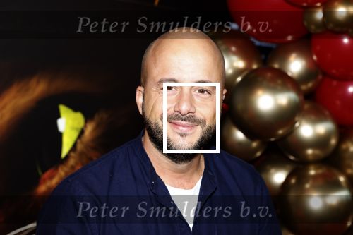 Amsterdam 10 december 2022
Premiere de gelaarsde kat in Pathe Arena . Jon Karthaus met zijn kinderen