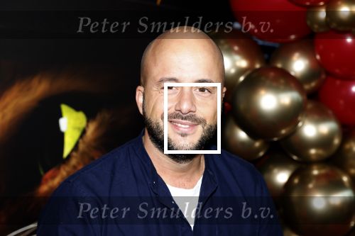 Amsterdam 10 december 2022
Premiere de gelaarsde kat in Pathe Arena . Jon Karthaus met zijn kinderen
