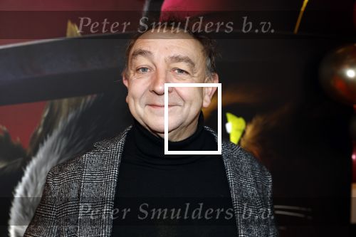 Amsterdam 10 december 2022
Premiere de gelaarsde kat in Pathe Arena . Jon v Eerd
