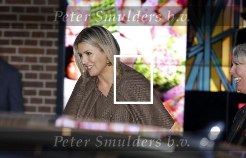 Amsterdam 22 november 2022
Koningin Maxima op bezoek bij het tropenmuseum. Ze heeft meer beveilingsautos achter haar rijden dan normaal